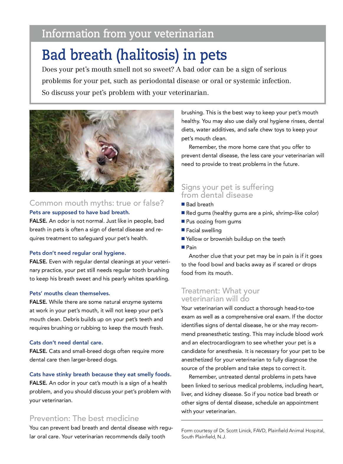 Bad Breath in Pets