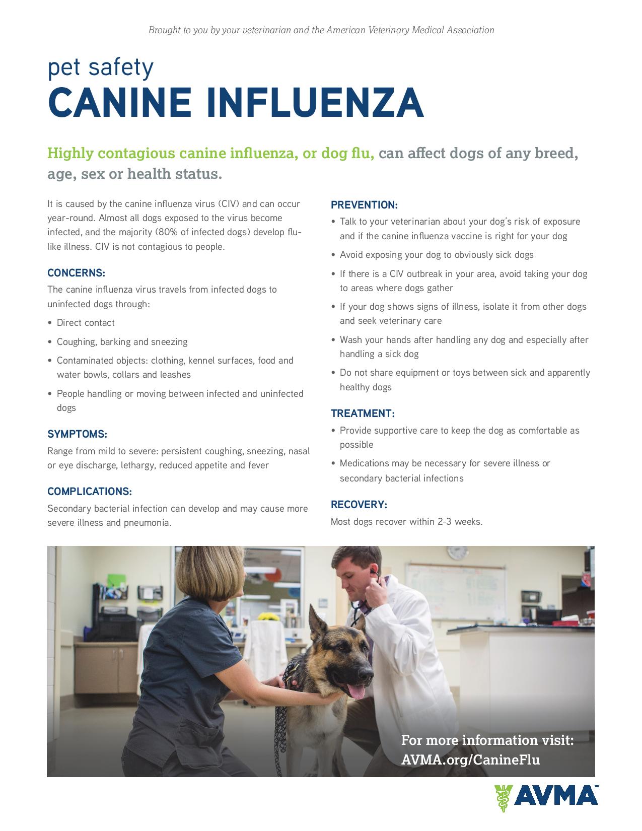 Canine Influenza Handout