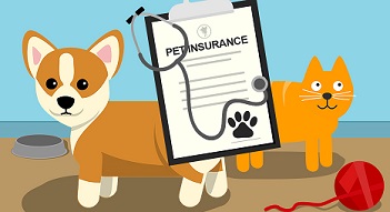 Pet Insurance Graphic